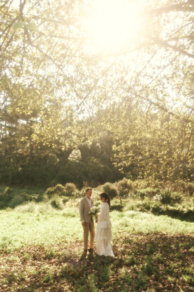 A vintage wedding portrait of a bride and groom standing underneath the big poplar trees with the golden sun shining through at Ohope. Captured by Eilish Burt Photography